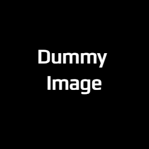 Lorem Ipsum is simply dummy text of the printing